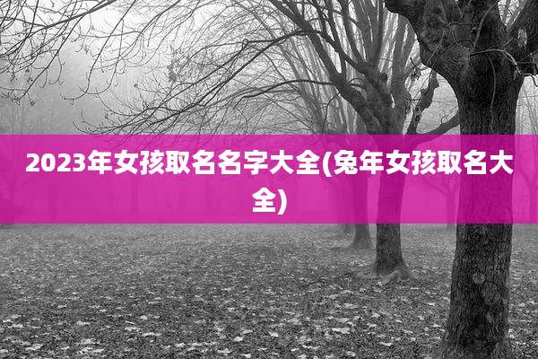 2023年女孩取名名字大全(兔年女孩取名大全)