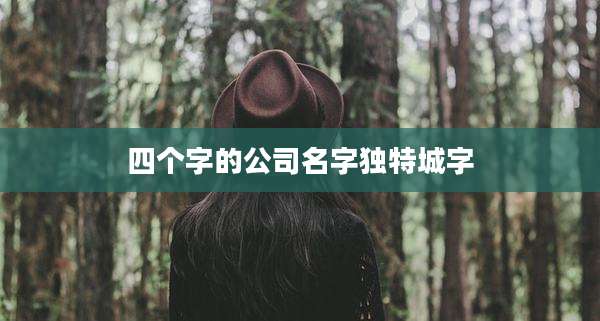 四个字的公司名字独特城字