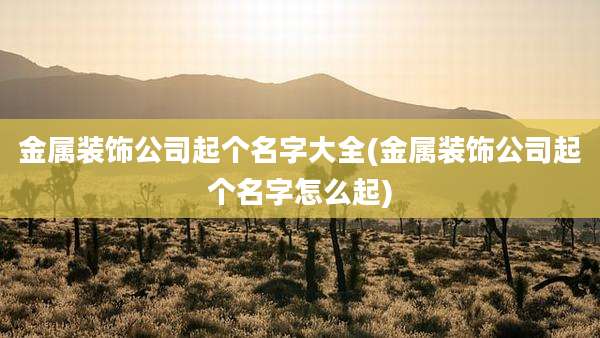 金属装饰公司起个名字大全(金属装饰公司起个名字怎么起)