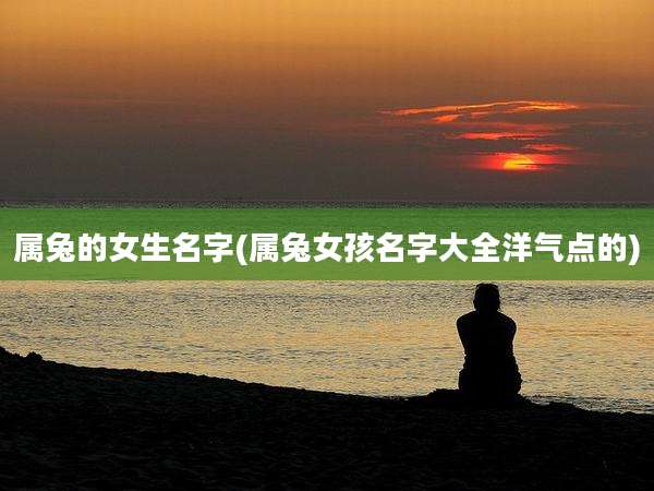 属兔的女生名字(属兔女孩名字大全洋气点的)