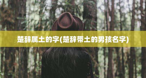 楚辞属土的字(楚辞带土的男孩名字)
