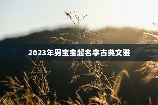 2023年男宝宝起名字古典文雅