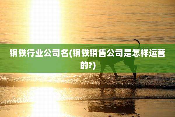 钢铁行业公司名(钢铁销售公司是怎样运营的?)