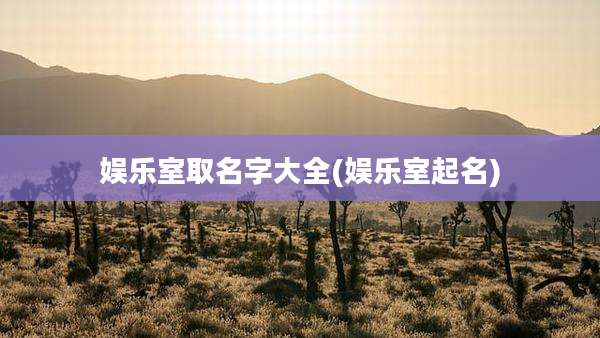 娱乐室取名字大全(娱乐室起名)