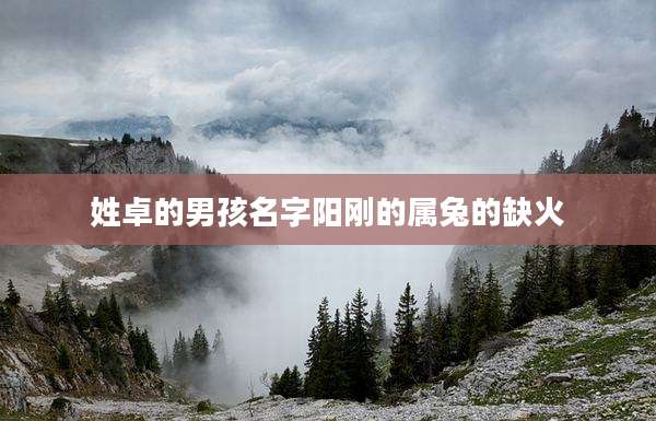 姓卓的男孩名字阳刚的属兔的缺火