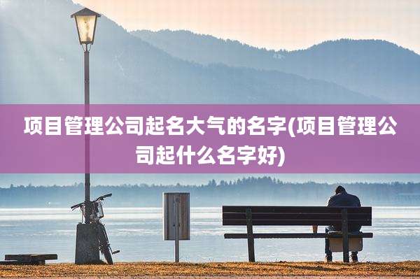 项目管理公司起名大气的名字(项目管理公司起什么名字好)