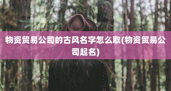 物资贸易公司的古风名字怎么取(物资贸易公司起名)