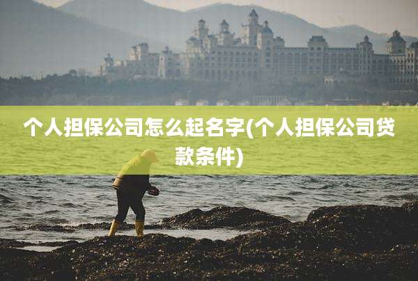 个人担保公司怎么起名字(个人担保公司贷款条件)