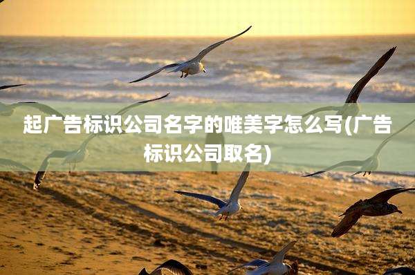 起广告标识公司名字的唯美字怎么写(广告标识公司取名)