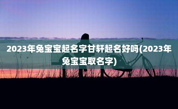 2023年兔宝宝起名字甘轩起名好吗(2023年兔宝宝取名字)