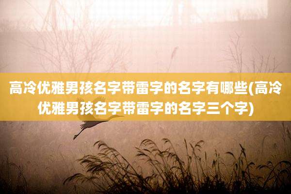 高冷优雅男孩名字带雷字的名字有哪些(高冷优雅男孩名字带雷字的名字三个字)