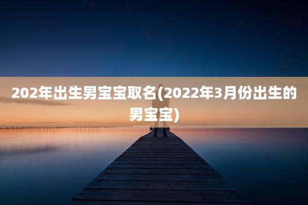 202年出生男宝宝取名(2022年3月份出生的男宝宝)