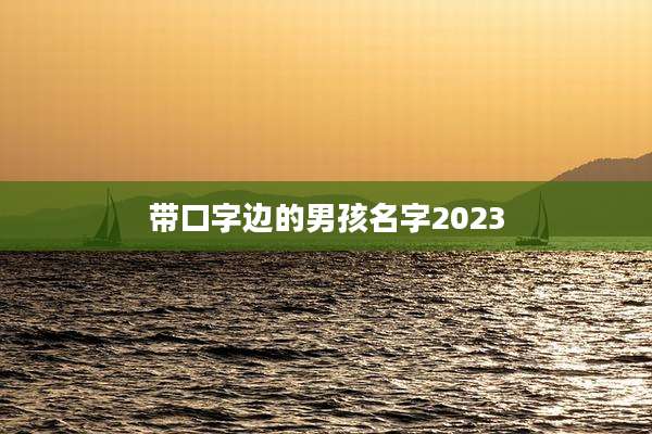 带口字边的男孩名字2023