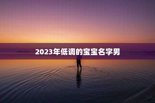 2023年低调的宝宝名字男