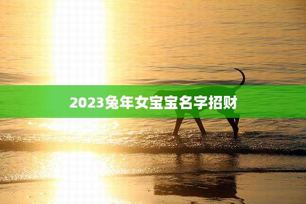 2023兔年女宝宝名字招财