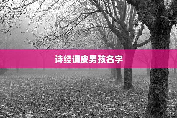 诗经调皮男孩名字