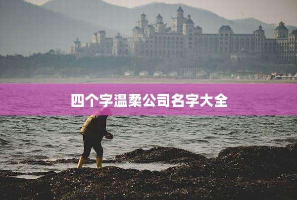 四个字温柔公司名字大全