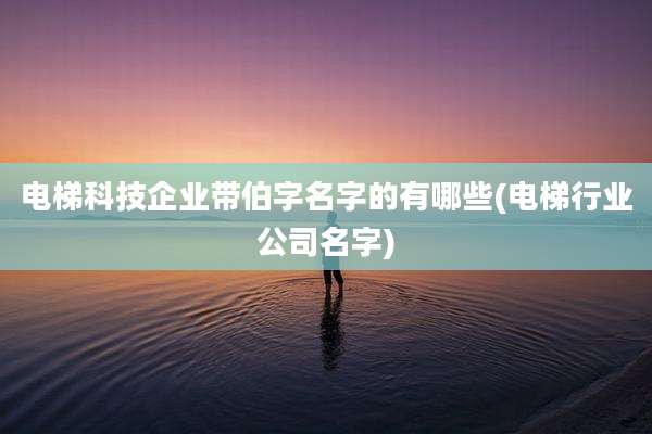 电梯科技企业带伯字名字的有哪些(电梯行业公司名字)