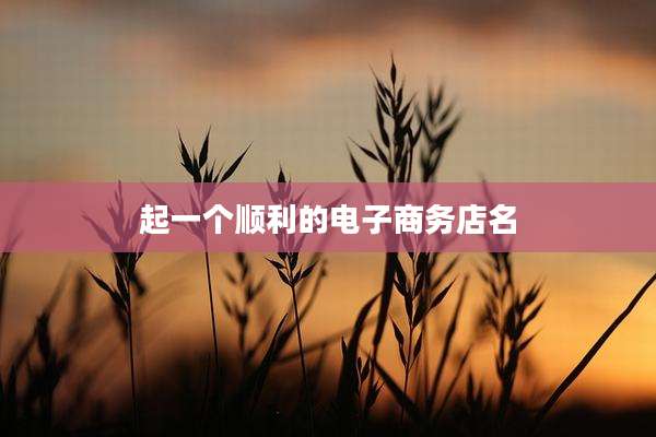 起一个顺利的电子商务店名