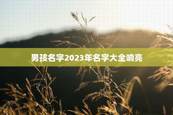 男孩名字2023年名字大全响亮
