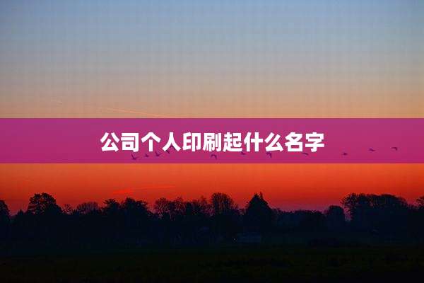 公司个人印刷起什么名字
