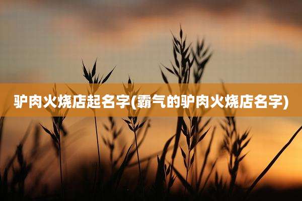 驴肉火烧店起名字(霸气的驴肉火烧店名字)