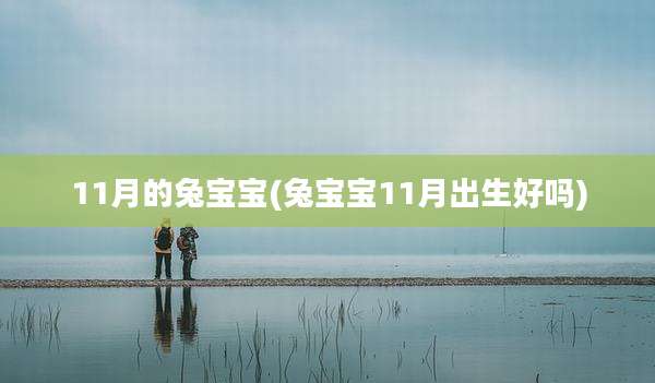 11月的兔宝宝(兔宝宝11月出生好吗)