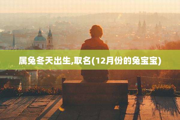 属兔冬天出生,取名(12月份的兔宝宝)