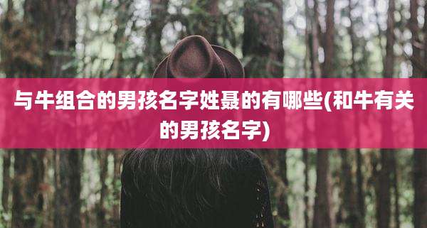 与牛组合的男孩名字姓聂的有哪些(和牛有关的男孩名字)