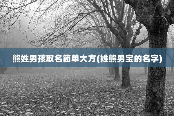 熊姓男孩取名简单大方(姓熊男宝的名字)