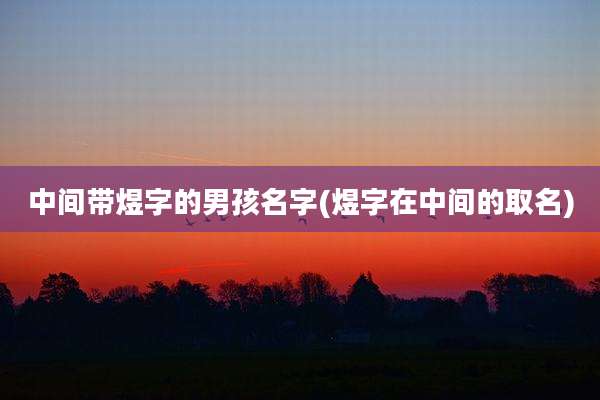 中间带煜字的男孩名字(煜字在中间的取名)