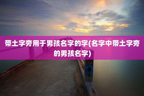 带土字旁用于男孩名字的字(名字中带土字旁的男孩名字)