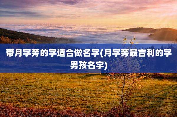 带月字旁的字适合做名字(月字旁最吉利的字男孩名字)