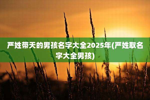 严姓带天的男孩名字大全2025年(严姓取名字大全男孩)