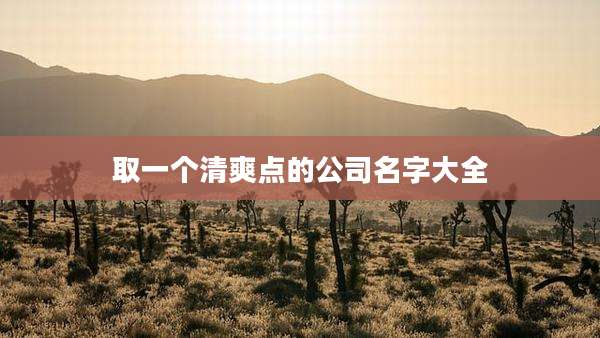 取一个清爽点的公司名字大全