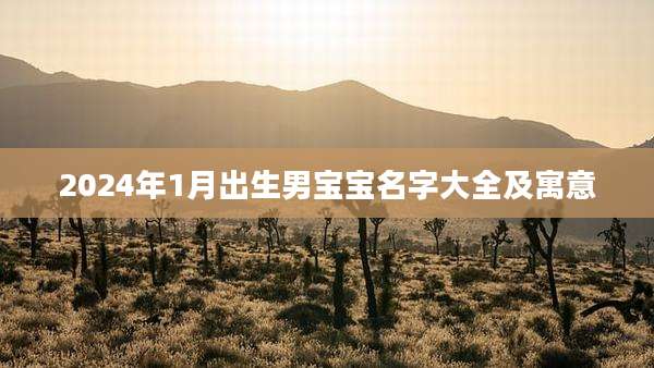 2024年1月出生男宝宝名字大全及寓意