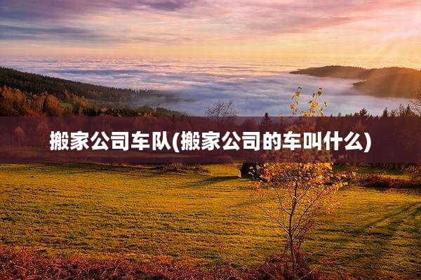 搬家公司车队(搬家公司的车叫什么)