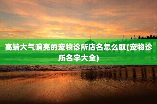 高端大气响亮的宠物诊所店名怎么取(宠物诊所名字大全)
