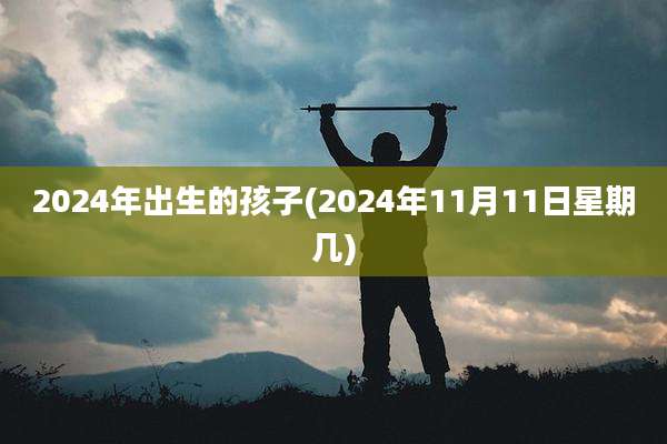 2024年出生的孩子(2024年11月11日星期几)