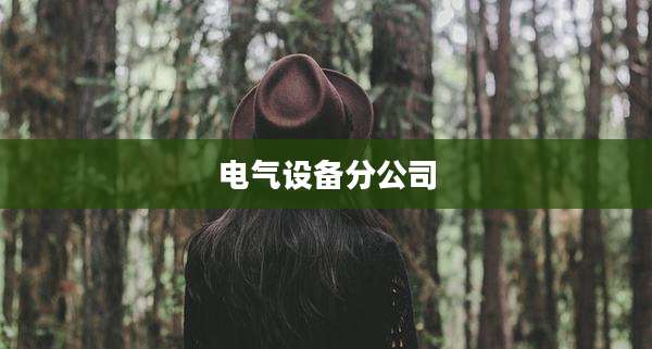 电气设备分公司