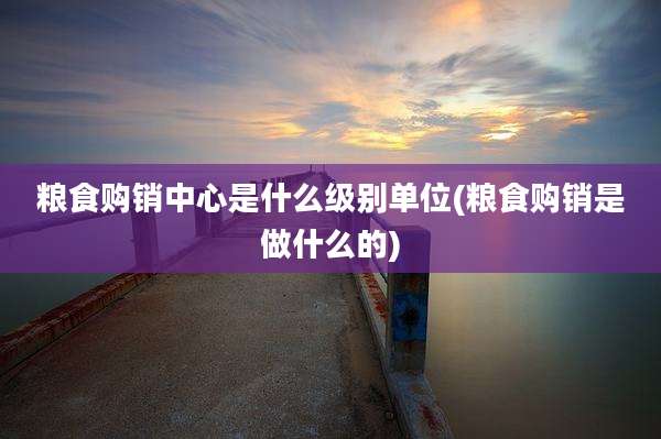 粮食购销中心是什么级别单位(粮食购销是做什么的)