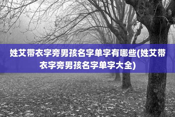 姓艾带衣字旁男孩名字单字有哪些(姓艾带衣字旁男孩名字单字大全)