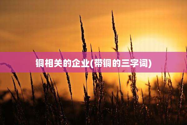 铜相关的企业(带铜的三字词)