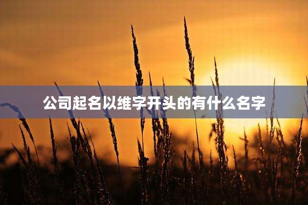 公司起名以维字开头的有什么名字