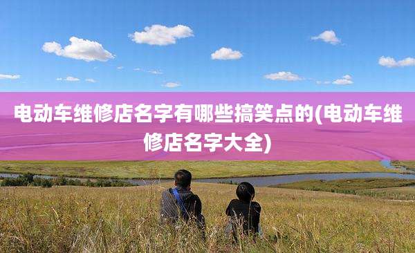 电动车维修店名字有哪些搞笑点的(电动车维修店名字大全)