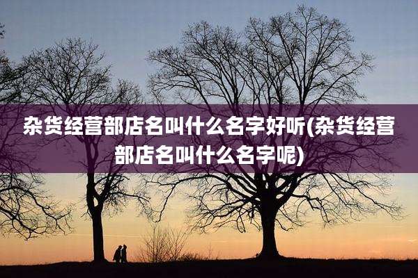 杂货经营部店名叫什么名字好听(杂货经营部店名叫什么名字呢)