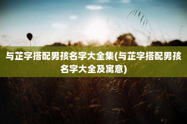 与芷字搭配男孩名字大全集(与芷字搭配男孩名字大全及寓意)