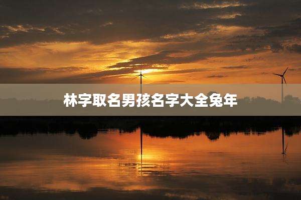 林字取名男孩名字大全兔年