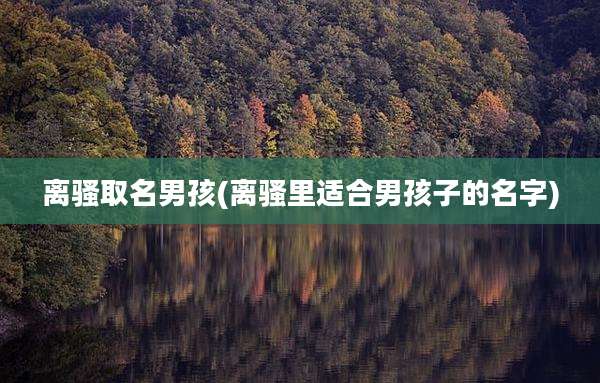 离骚取名男孩(离骚里适合男孩子的名字)