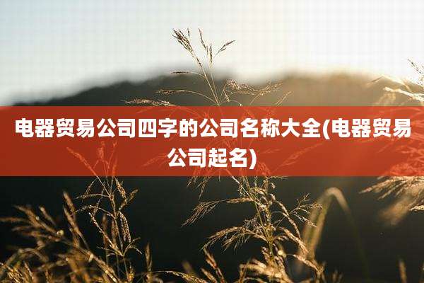 电器贸易公司四字的公司名称大全(电器贸易公司起名)